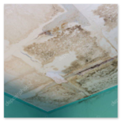 Inspector checking a damp stain on an interior ceiling
